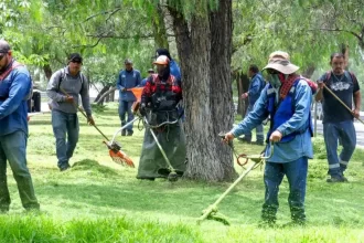 Imagen de WhatsApp 2025 07 02 a las 14.17.20 2dd93ec4