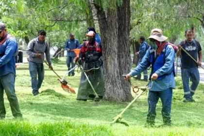 Imagen de WhatsApp 2025 07 02 a las 14.17.20 2dd93ec4