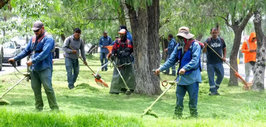 Imagen de WhatsApp 2025 07 02 a las 14.17.20 2dd93ec4