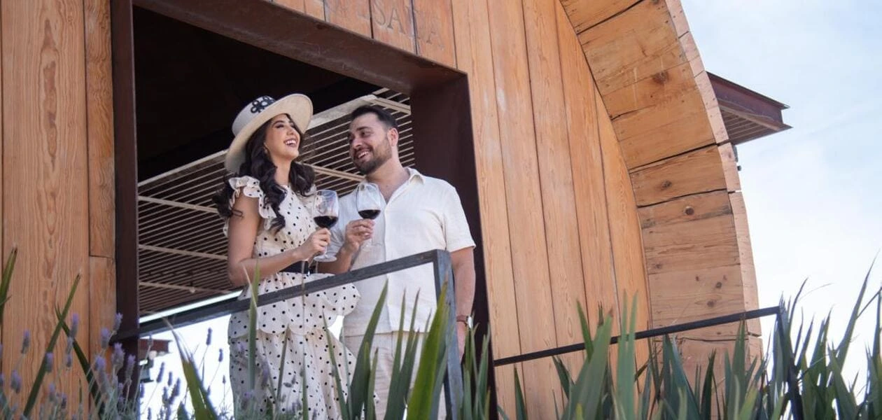 Aguascalientes celebra sus vendimias de julio a septiembre con catas, recorridos y vino local. Consulta aquí el calendario completo de eventos.