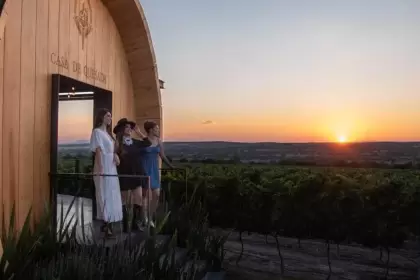 De julio a septiembre, disfruta las vendimias en Aguascalientes con vino, catas, música y tradición en viñedos locales. Conoce aquí el calendario.