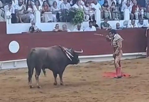 Colombo quiso rubricar espectacularmente su faena con un acto de valor y actitud en Saint Vincent de Tyros. Foto: JLMNoticias / Captura de Pantalla.