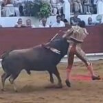 El momento de que Colombo recibió el fortísimo golpe con el pitón derecho y que le provocó la severa lesión. Foto: JLMNoticias / Captura de Pantalla.