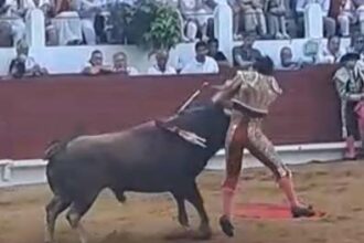 El momento de que Colombo recibió el fortísimo golpe con el pitón derecho y que le provocó la severa lesión. Foto: JLMNoticias / Captura de Pantalla.