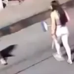 Karla, la mujer asesinada con arma larga en Guadalajara a manos de su pareja. Foto: JLMnoticias / Captura de Pantalla.