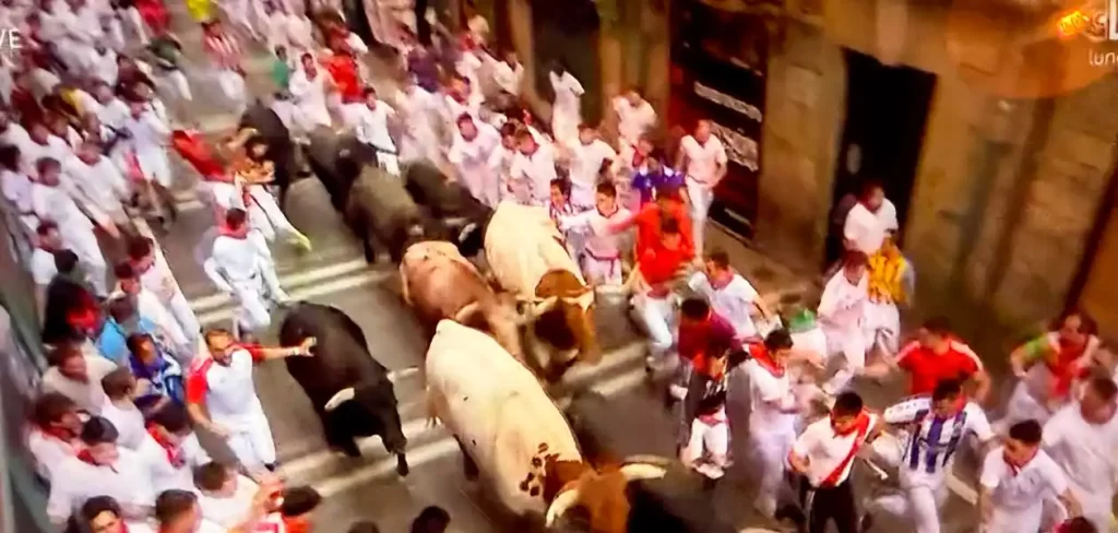 Muy hermanda fue la manada compuesta por seis toros bravos y cinco animales mansos. Foto: JLMNoticias / PTPamplona.