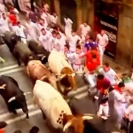 Muy hermanda fue la manada compuesta por seis toros bravos y cinco animales mansos. Foto: JLMNoticias / PTPamplona.