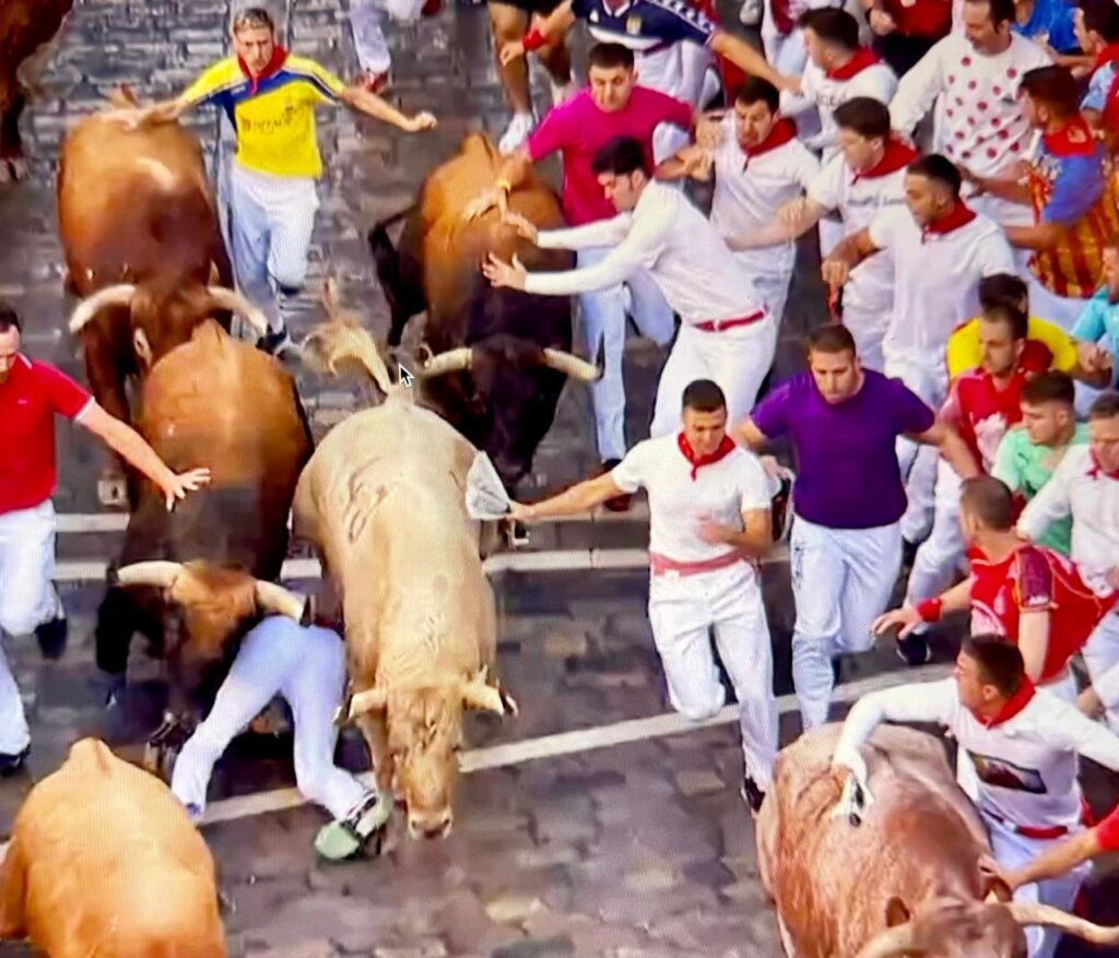 Pamplona Encierro 3