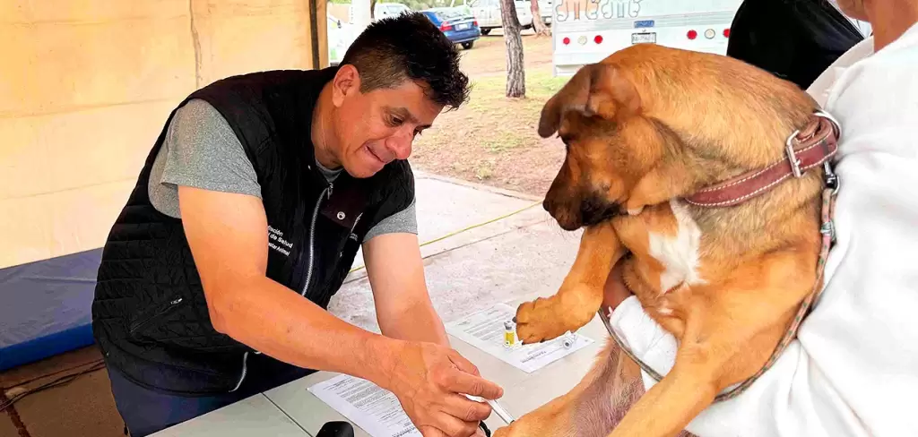 Servicios veterinarios gratuitos