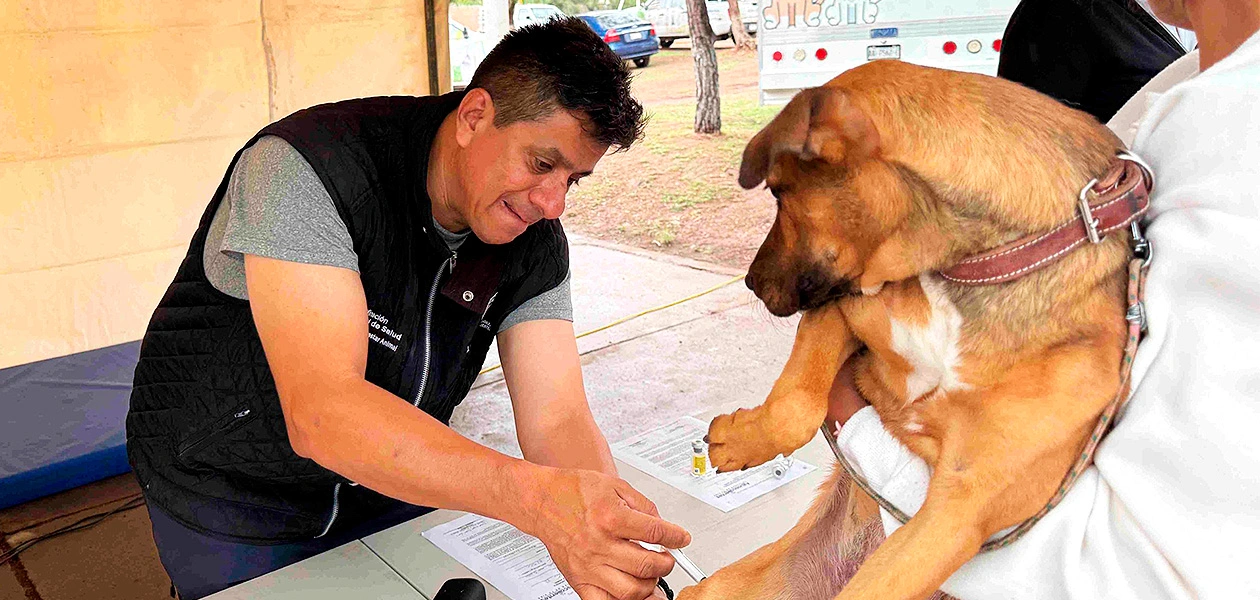 Servicios veterinarios gratuitos