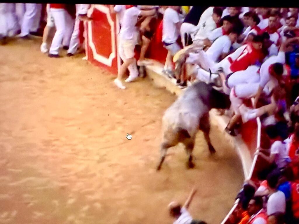 Toro Contra Corredores 2