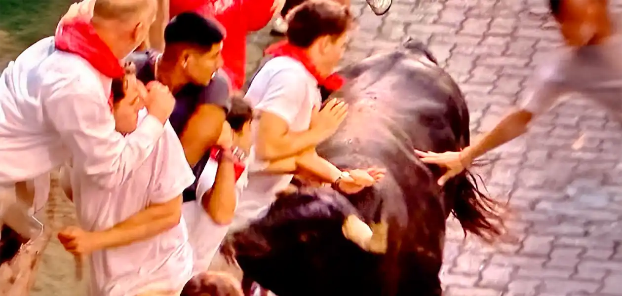 Antes de llegar al ruedo, este toro de La Palmosilla fue atropellando a los corredores en el vallado de manera muy peligrosa. Foto: JLMNoticias / PTPamplona.