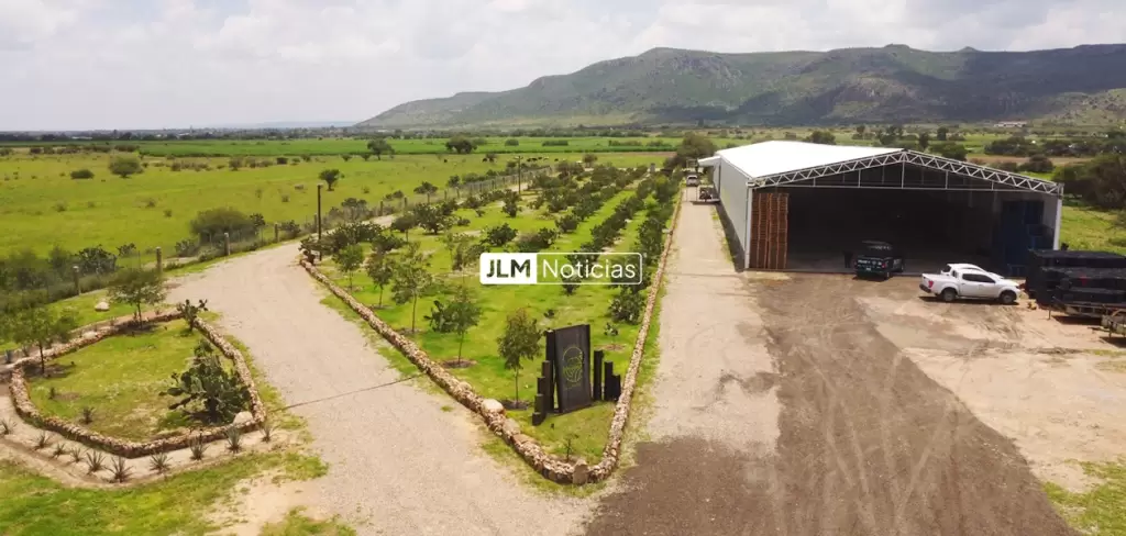 Vista panoramica de la planta El Ranchito de Aguascalientes