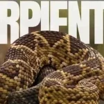 El 5 y 6 de julio se celebra en Aguascalientes el 4.º Festival Mexicano de las Serpientes, con talleres, conferencias y entrada gratuita para toda la familia.