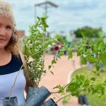 Este sábado plantarán mil árboles en el Parque Rodolfo Landeros y realizarán poda en el Parque México. Van 3 mil árboles esta semana.