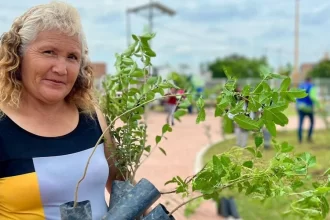 Este sábado plantarán mil árboles en el Parque Rodolfo Landeros y realizarán poda en el Parque México. Van 3 mil árboles esta semana.