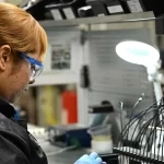 Aguascalientes registra un crecimiento industrial de 3.1% en marzo de 2025, impulsado por la construcción, manufactura y sectores estratégicos.