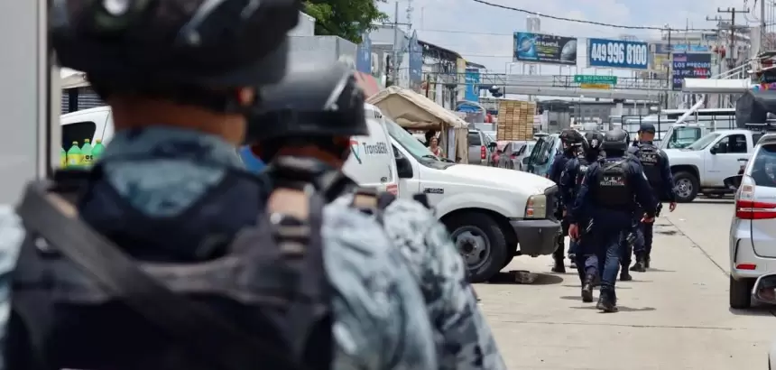 Instalan nuevas cámaras conectadas al C5i y refuerzan vigilancia aérea y terrestre en el Agropecuario para garantizar seguridad permanente.