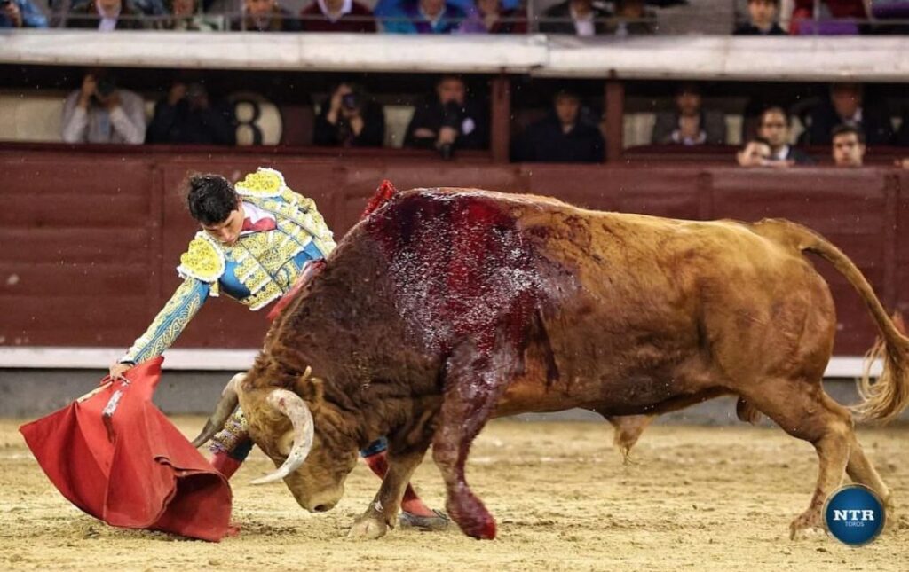 Isaac Fonseca hará su debut en la plaza El Paseo Fermín Rivera de la capital potosina.