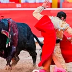 “Caminante” resultó áspero, sin entrega y Pepe Moral tuvo que echar mano de estos recursos. Foto: PTPamplona.
