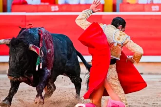 “Caminante” resultó áspero, sin entrega y Pepe Moral tuvo que echar mano de estos recursos. Foto: PTPamplona.