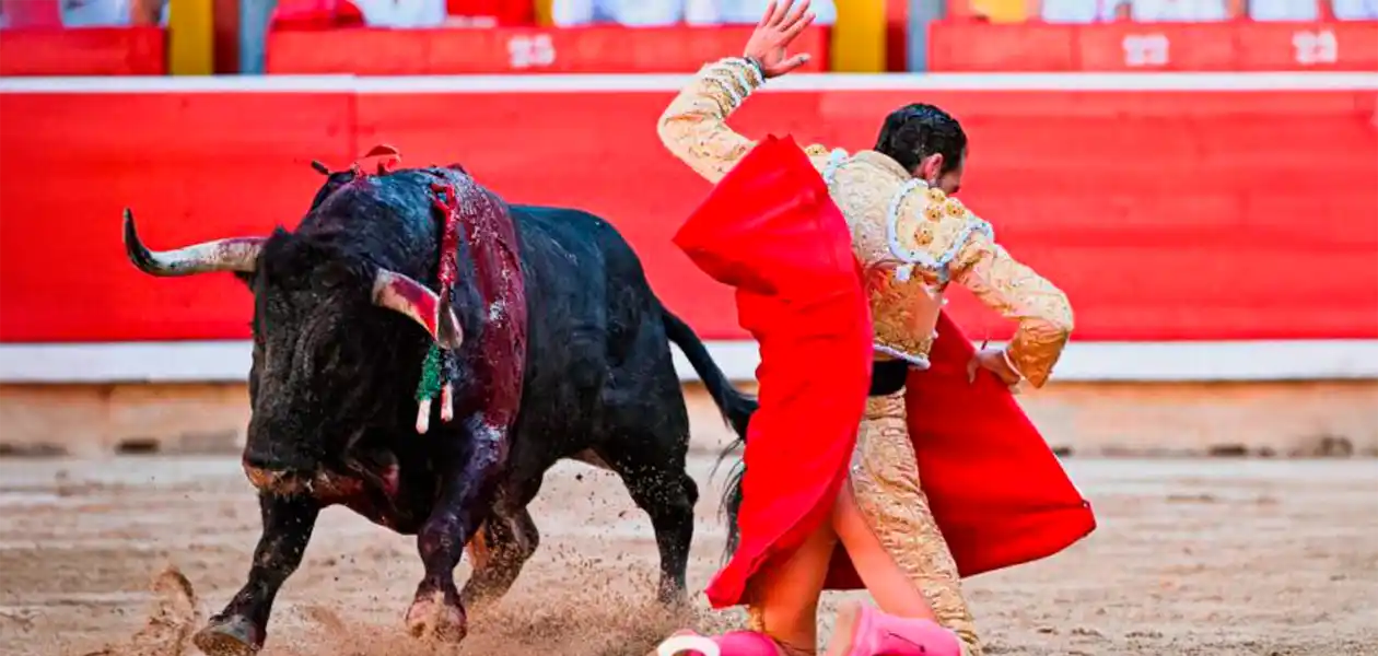 “Caminante” resultó áspero, sin entrega y Pepe Moral tuvo que echar mano de estos recursos. Foto: PTPamplona.