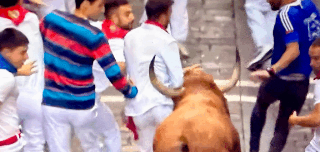 A este corredor el astado le pone el pitón completo en la espalda pero su nobleza le impidió tirar un derrote y se salvó de un percance