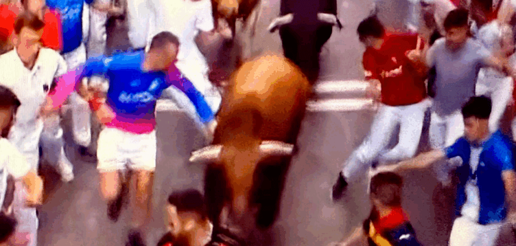 Dueños y señores, “los Jandillas” corrieron tan rápido que desaparecieron de la escena a los animales mansos.