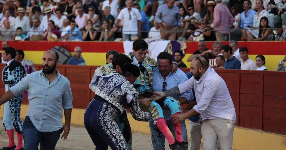 novillero
