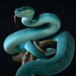 El 4.º Festival Mexicano de las Serpientes se celebrará en Aguascalientes el 5 y 6 de julio con entrada gratuita y actividades para toda la familia.