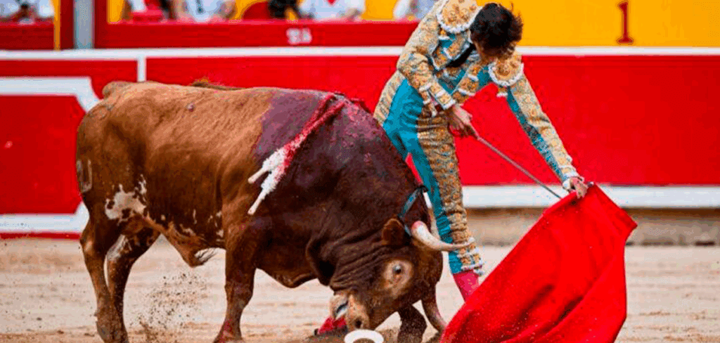Pero también de pie lucio en un toreo de muy buenos trazos.