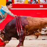 Una estocada perfecta de ejecución y cuando ya se saboreaba las dos orejas, todo quedó en una ovación tras dos avisos.