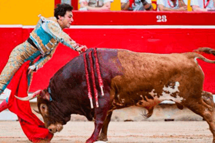 Una estocada perfecta de ejecución y cuando ya se saboreaba las dos orejas, todo quedó en una ovación tras dos avisos.