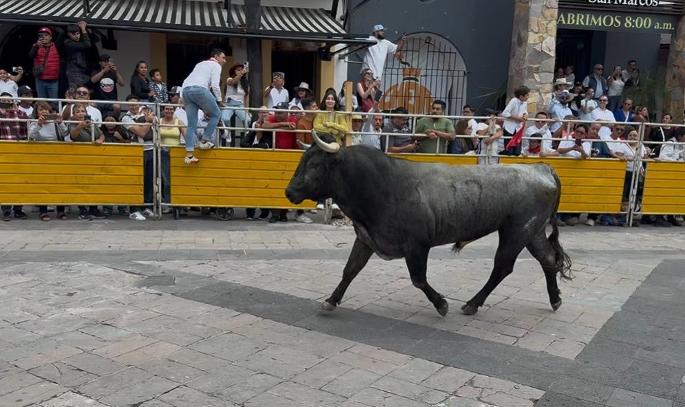 46fcca3c 82e2 47a4 b380 c3478669792b