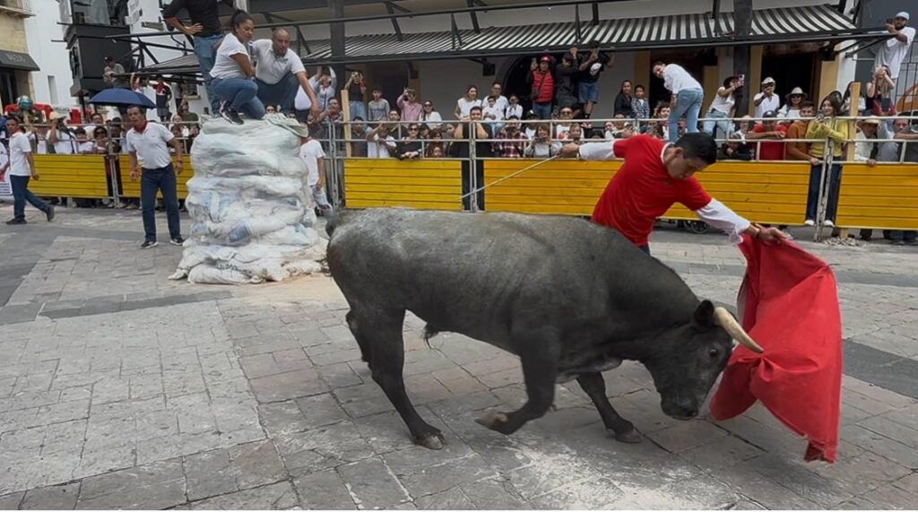 97e74c06 54b1 4282 8689 c914891698d2