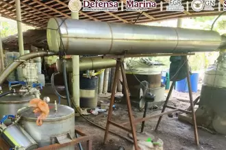 Agentes de la SSPC, Marina y Guardia Nacional llevaron a cabo el decomiso de casi cinco toneladas de droga en los estados de Chiapas, Tijuana y Guerrero.