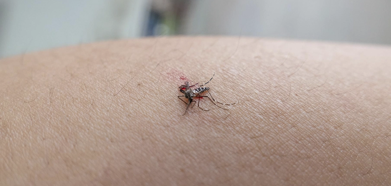 Aguascalientes Dengue