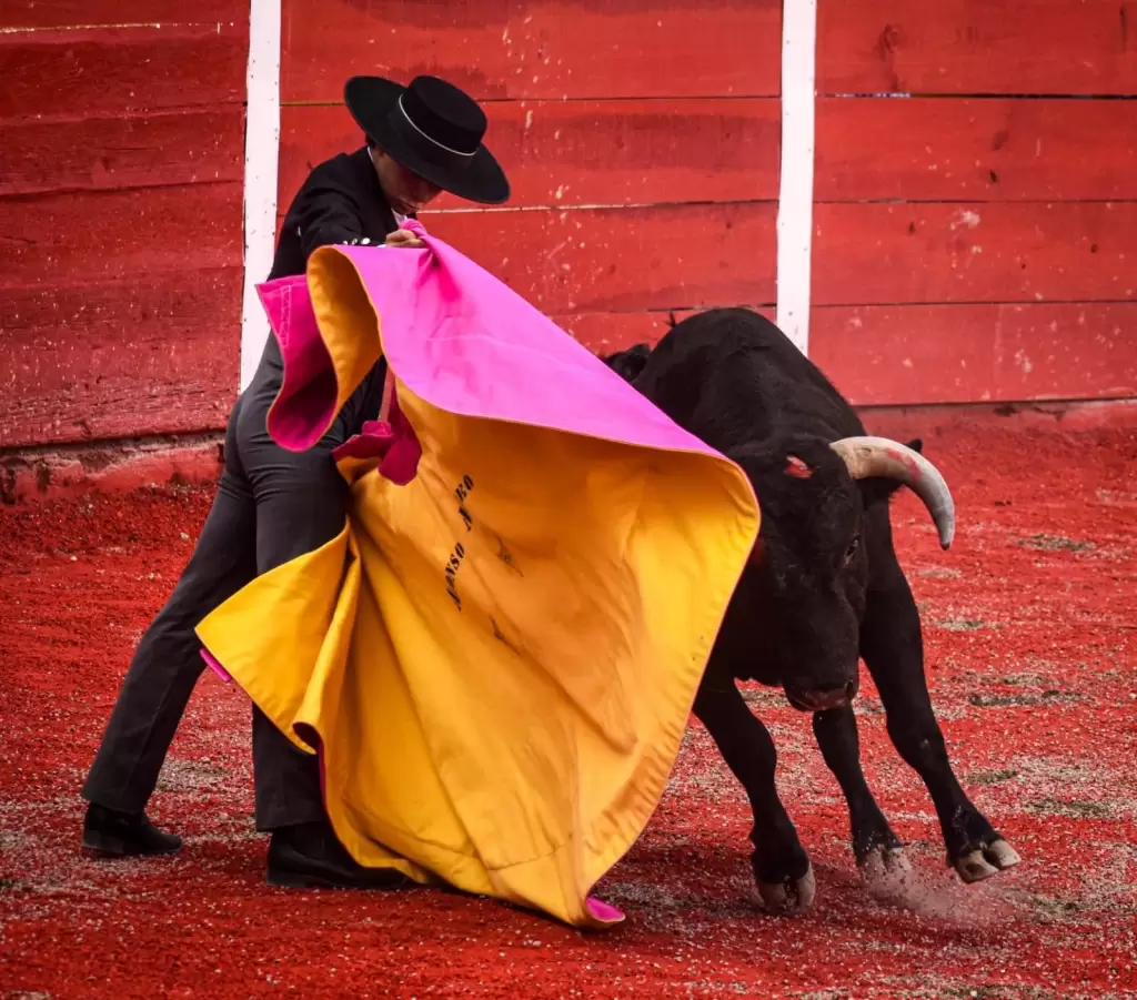 Alonso Mateo logro momentos que gustaron mucho a los aficionados y por ello corto la oreja