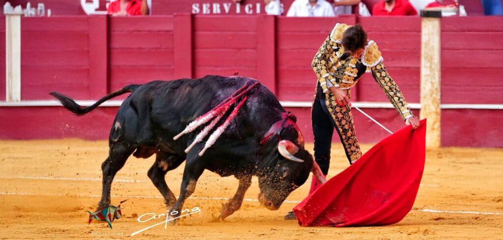 Andres Roca Rey dio la cara de frente y sin trucos, como lo hace una figura del toreo .