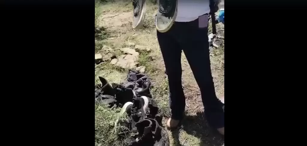 Colectivos de busqueda de personas urgen la difusion de estos hallazgos para que las familias que buscan a sus seres queridos puedan cotejar lo encontrado