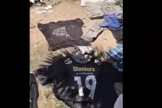 Colectivos de búsqueda realizaron el hallazgo de diversas prendas de vestir, que pudiera tratarse de indicios de personas desaparecidas. JLMNoticias captura de pantalla