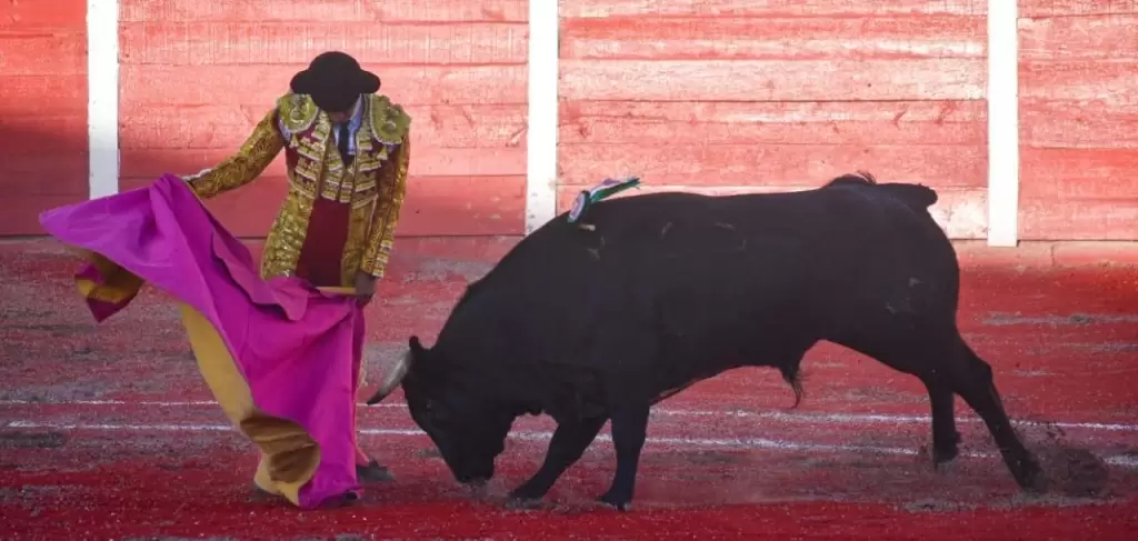 Con el capote Prieto estuvo variado y tambien coloco banderillas