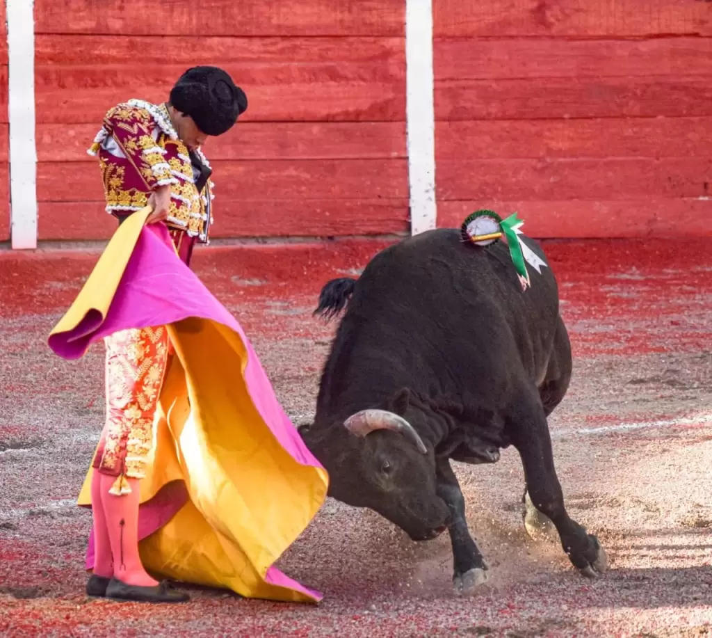 Con el capote tambien lucio en el unico que pudo torear el espanol Borja