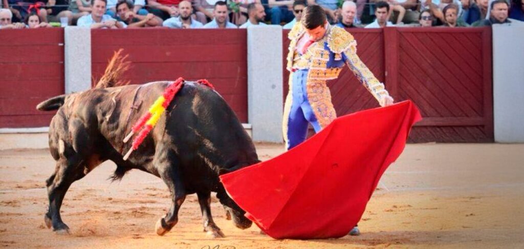 Con razón afirma Emilio de Justo, que toreo a placer y lento esta tarde en la plaza de Guijuelo, Salamanca.