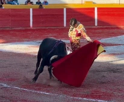El espanol Borja Ximelis consiguio momentos de clase cuidando mucho la poca fuerza aunque calidad que tuvo el unico novillo que pudo lidiar