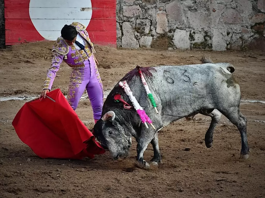 El hidrocalido Sanchez templo con gusto en Canadas que lo vio triunfar cortando sus orejas 8283 y 84 en las 67 tardes que ha sumado en su carrera