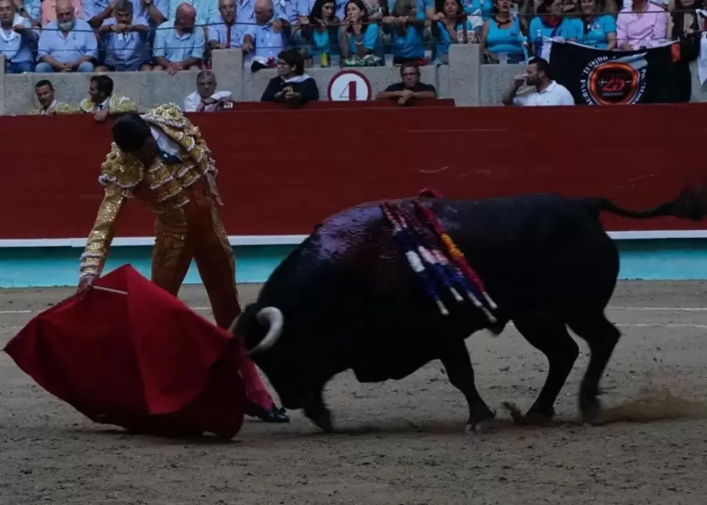 Emilio de Justo lesionado aun asi toreo en Pontevedra el sabado y aunque esta muy adolorido asegura que mantendra sus actuaciones como estaba previsto