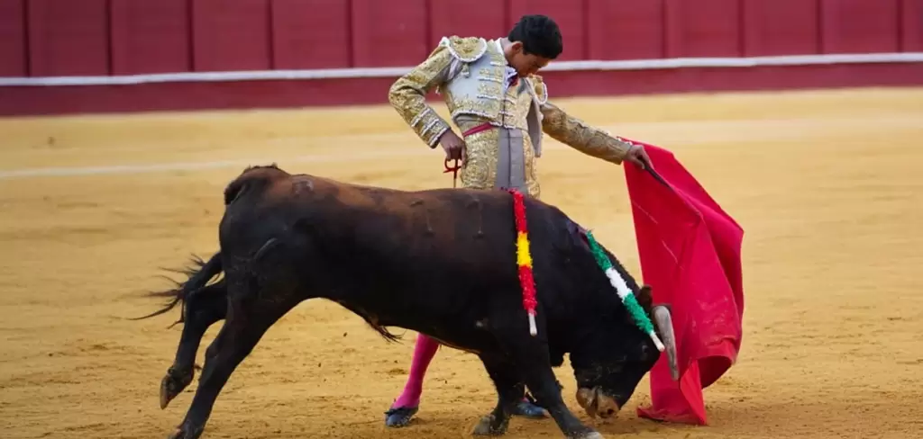 Ignacio Garibay cortó una oreja en su debut en una plaza de importancia como lo es Málaga.