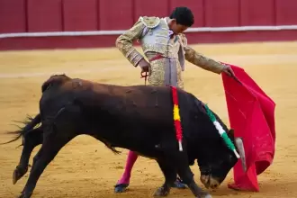 Ignacio Garibay cortó una oreja en su debut en una plaza de importancia como lo es Málaga.