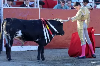 Ignacio Garibay fue seleccionado de entre nueve novilleros para torear otra vez mañana en Málaga. Fotos cortesía mundotoro Philippe Gil Mir